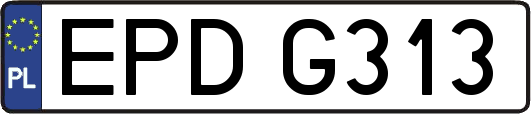 EPDG313