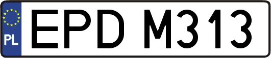 EPDM313