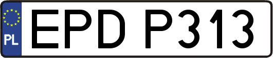 EPDP313