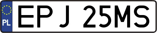 EPJ25MS