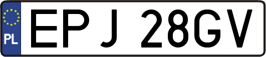 EPJ28GV