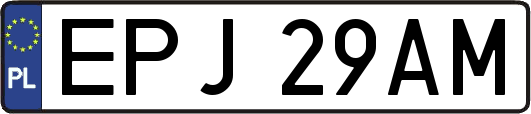 EPJ29AM