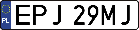 EPJ29MJ