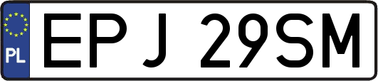 EPJ29SM