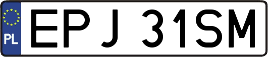 EPJ31SM