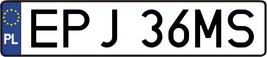 EPJ36MS