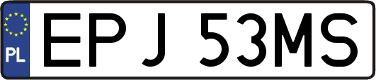 EPJ53MS