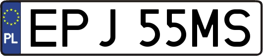 EPJ55MS