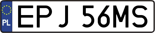 EPJ56MS