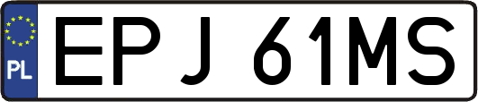 EPJ61MS