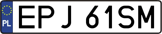 EPJ61SM