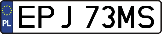EPJ73MS