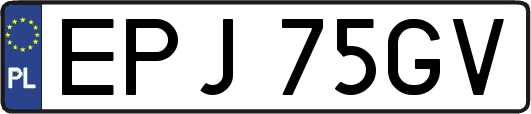 EPJ75GV