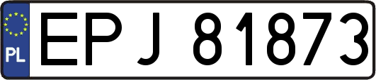 EPJ81873