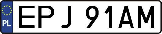 EPJ91AM