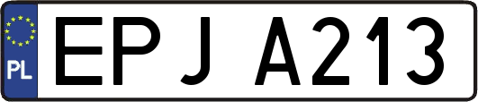 EPJA213