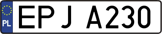 EPJA230
