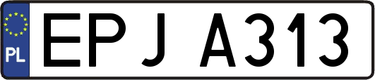 EPJA313