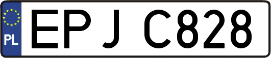 EPJC828