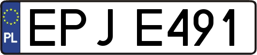 EPJE491
