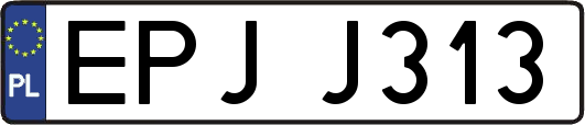 EPJJ313