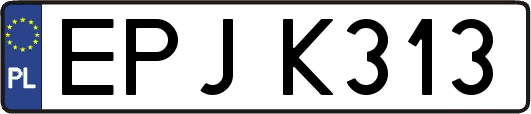 EPJK313