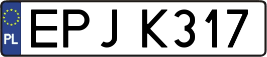 EPJK317
