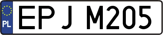 EPJM205