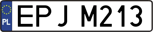 EPJM213