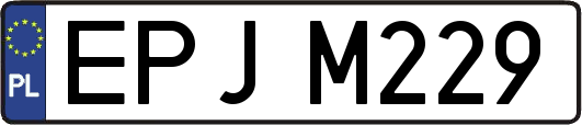EPJM229