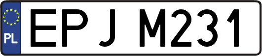 EPJM231
