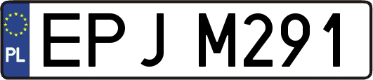 EPJM291