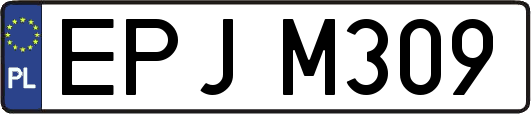 EPJM309