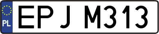 EPJM313