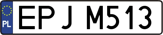 EPJM513