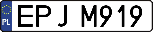EPJM919