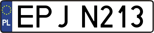 EPJN213