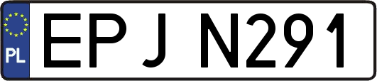 EPJN291
