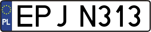 EPJN313