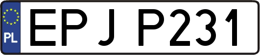 EPJP231