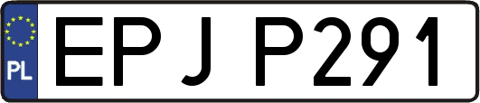 EPJP291