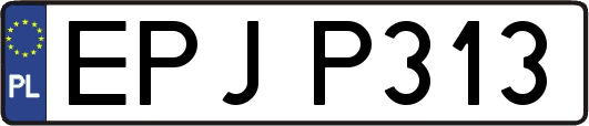 EPJP313