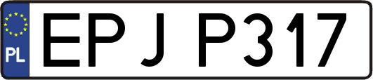 EPJP317