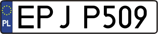 EPJP509