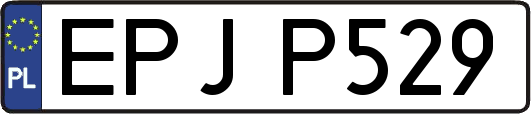EPJP529