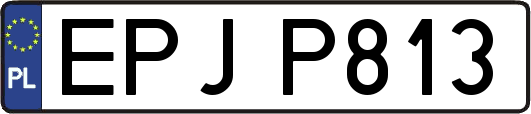 EPJP813