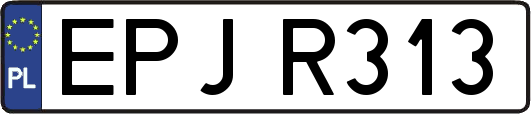 EPJR313
