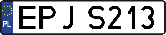 EPJS213