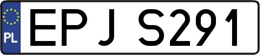 EPJS291