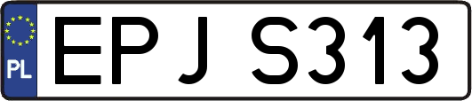 EPJS313
